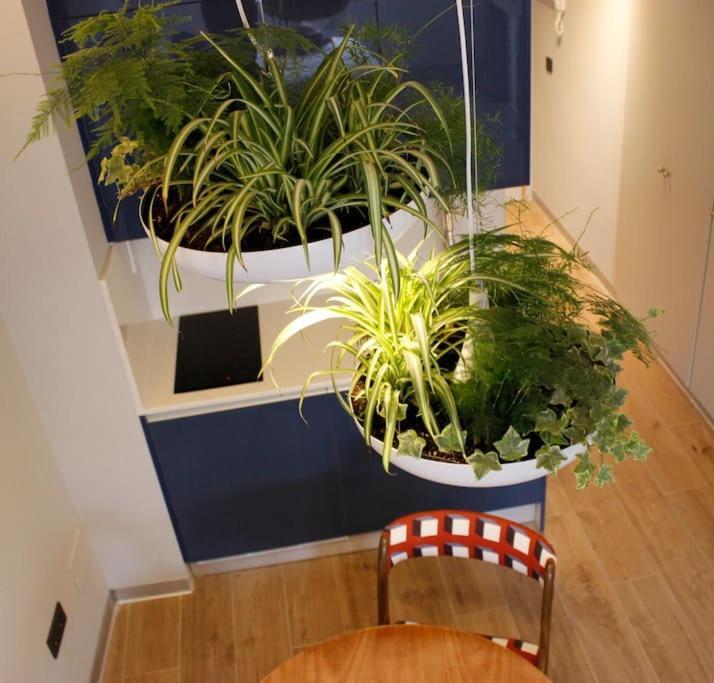 Apartamento Por Temporada Centro Diseno Madrid Kültér fotó