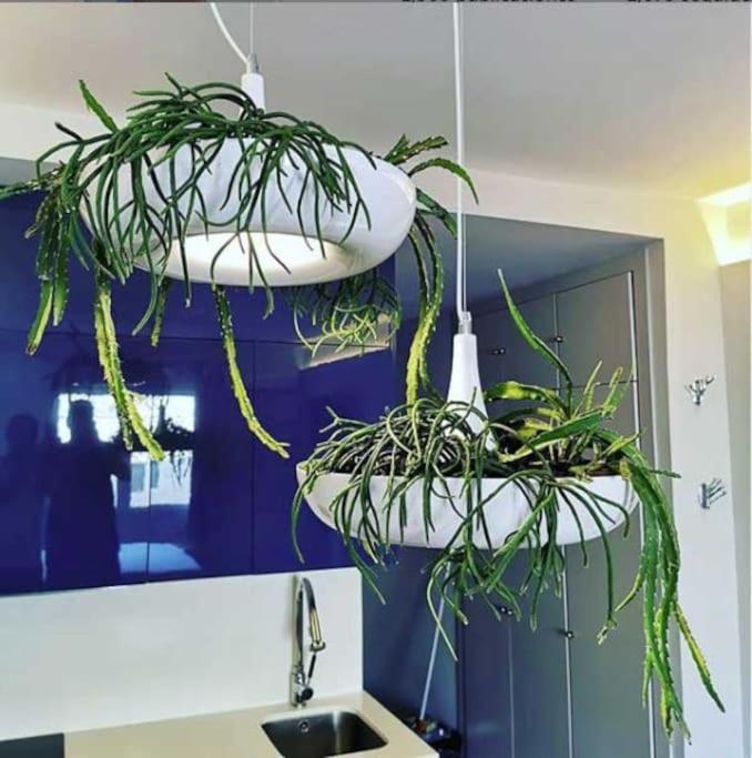Apartamento Por Temporada Centro Diseno Madrid Kültér fotó